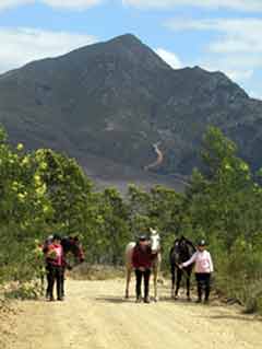 Riders leading horses