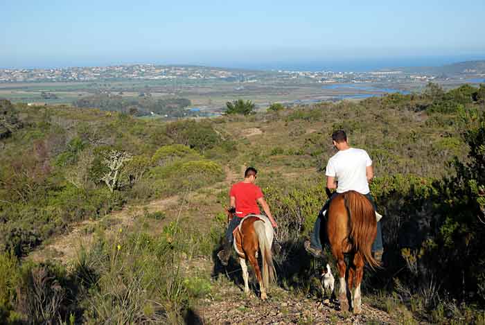 Scenic riders