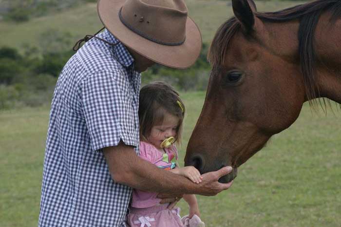 Horse and girl